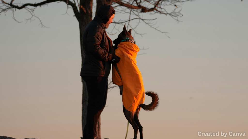 Best Outdoor Burger Spots in Las Vegas for Dog Owners